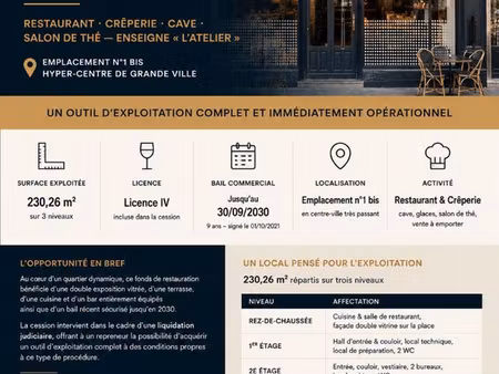 fonds de commerce 230 m² grenoble