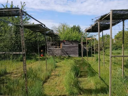 terrain verger potager