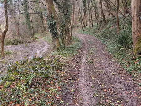 terrain à louer