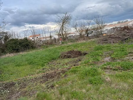 terrain constructible