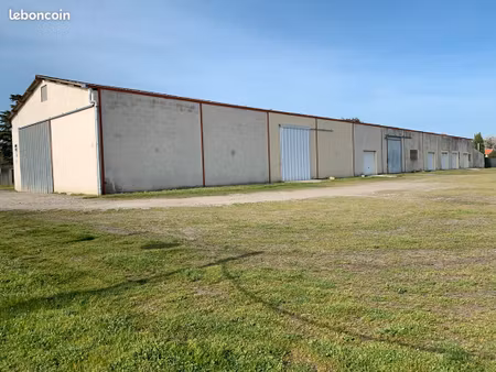 local d'activité  dépôt  stockage sur muret (sud)
