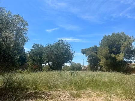 terrain - grau d’agde