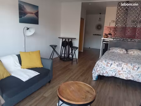 studio meublé 31m2+balcon+cave