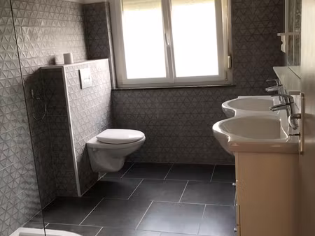 loue grand f1 meublé st avold
