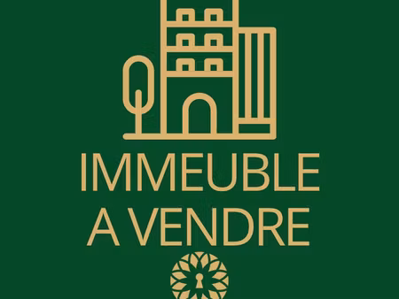 immeuble 196 m² reims