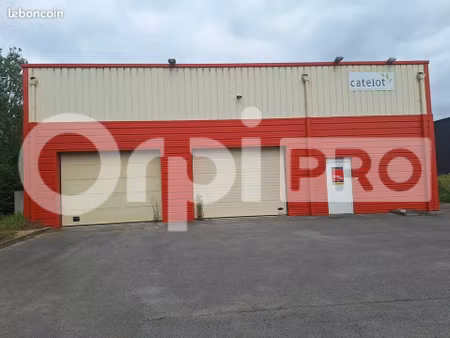 local d'activité 317 m²