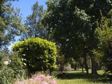 terrain constructible viabilise 1800m²