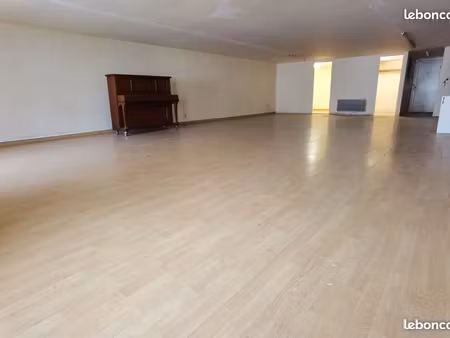 loft 100m2 usage mixte