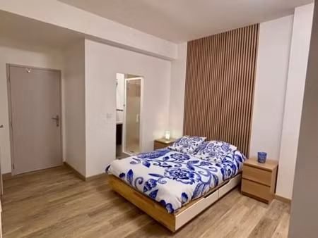 appartement 1 pièce 30 m²