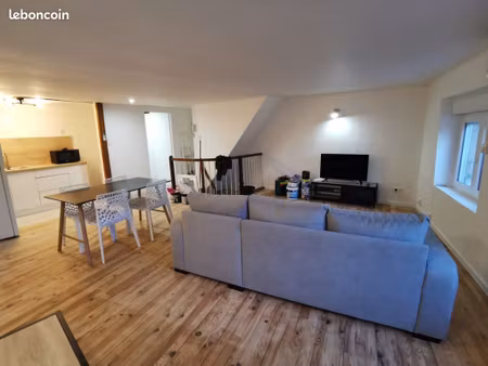 grand t2 de 55m2  totalement meublé et rénové en hyper centre