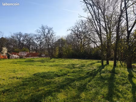 terrain constructible