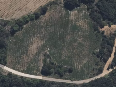vente terrain agricole ( vigne )