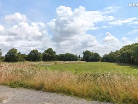 terrain 378 m² le bernard