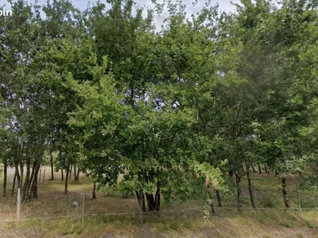 terrain 808 m² gujan mestras