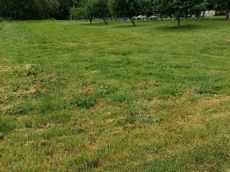 terrain 1004 m² st ulphace