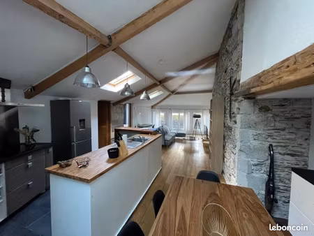 appartement hyper centre angers