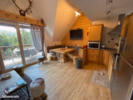 bel appartement aux pieds des pistes