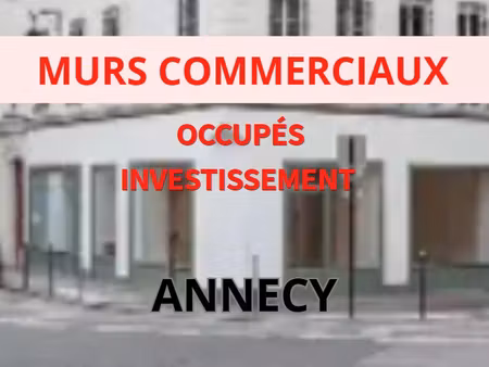immobilier professionnel à vendre annecy