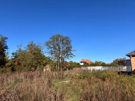 annonce vente terrain terrain de 497m2 à algolsheim (68600) - paruvendu.fr ref 99279125149