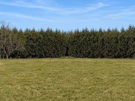annonce vente terrain terrain de 663m2 à massieux (01600) - paruvendu.fr ref 992790504990