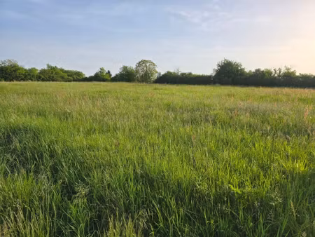 annonce vente terrain terrain de 1872m2 à lalandusse (47330) - paruvendu.fr ref 9927901327