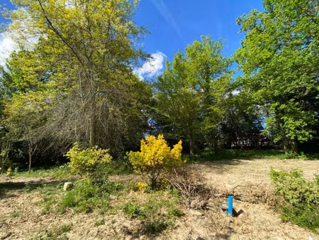 annonce vente terrain terrain de 1m2 à carignan-de-bordeaux (33360) - paruvendu.fr ref 992