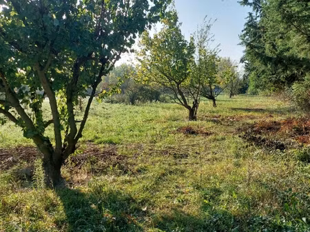 annonce vente terrain terrain de 467m2 à sénas (13560) - paruvendu.fr ref 992791026746