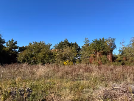 annonce vente terrain terrain de 641m2 à algolsheim (68600) - paruvendu.fr ref 99279125149