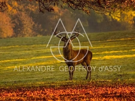 propriété/château de luxe à vendre à blois (41000) | 85 000 000 € | 15 + pièces | 6864 m² 