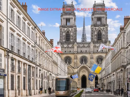 achat : appartement (45100)