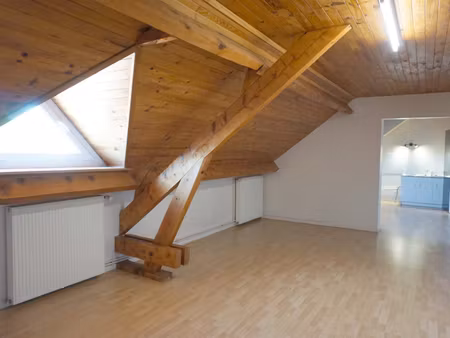 grand appartement centre ville
