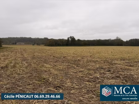 terrain à bâtir à mimbaste (40350)