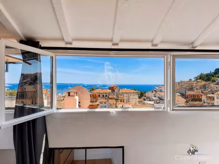 cannes banane 3p dernier etage vue mer et suquet