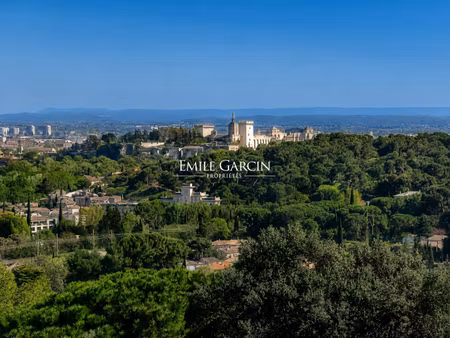 à vendre - propriété en pierre vue exceptionnelle -villeneuve-lès-avignon -piscine...