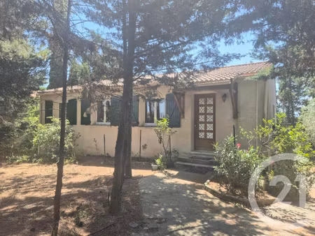 achat : maison (11000)