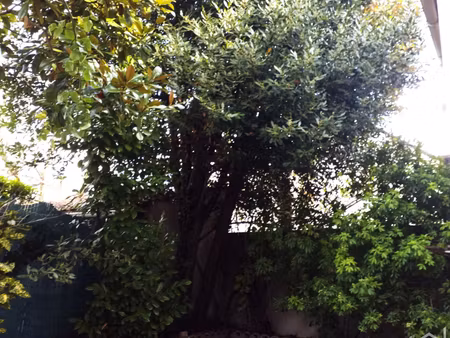 appartement rez-de-jardin