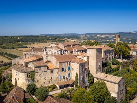 à 20 min d'albi  demeure médiévale du 13e s. avec cour & jardin