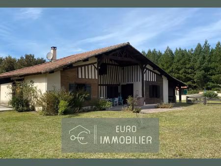 propriété 2 habitations - maison - landaise - piscine - ecurie