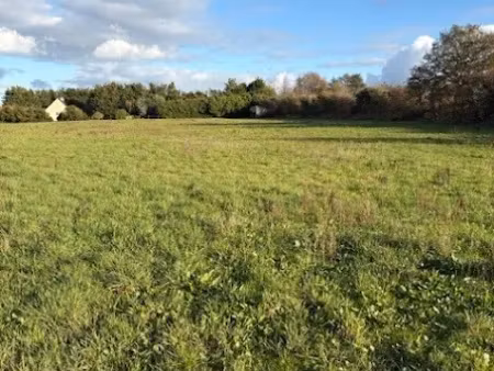 vente terrain 695 m² à les alleuds (49320)  42 530 €