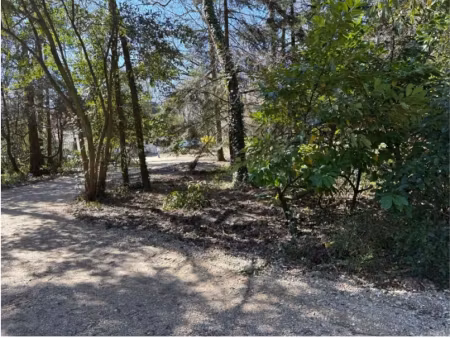 vente terrain 1500 m² à carignan-de-bordeaux (33360)  258 500 €
