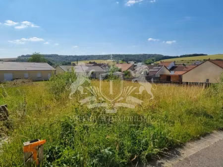 vente terrain à batir 594 m² à sommedieue (55320)  17 900 €