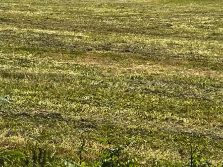 vente terrain 850 m² à juicq (17770)  28 000 €