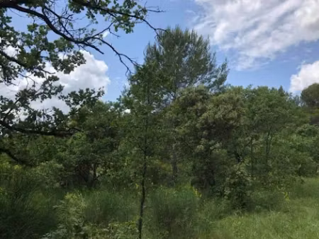 vente terrain 1000 m² à puyricard (13540)  470 000 €