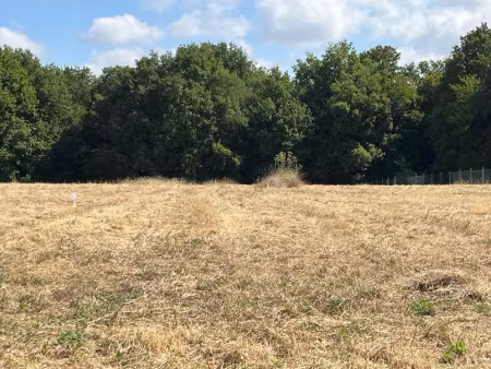 vente terrain 360 m² à saint-césaire (17770)  28 800 €