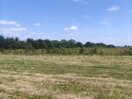 vente terrain 800 m² à morgny-la-pommeraye (76750)  75 000 €