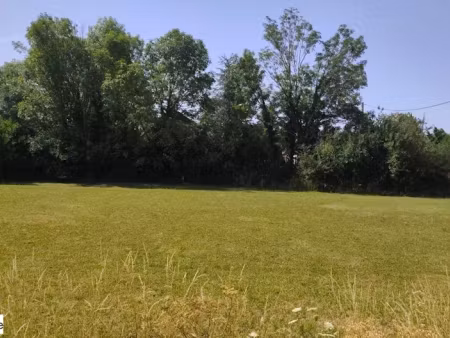 vente terrain à batir 1000 m² à créchy (03150)  38 000 €