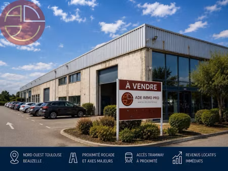vente locaux professionnels 1 pièce 2600 m² à beauzelle (31700)  3 344 000 €