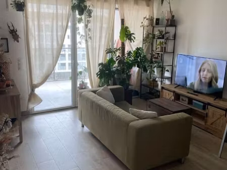 location appartement 2 pièces 37 m² à montpellier (34000)  680 €