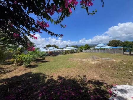 vente terrain 923 m² à baie mahault (97122)  229 000 €