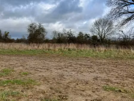 vente terrain 350 m² à cerisé (61000)  40 250 €